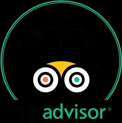 Top-Rated on TripAdvisor — Magic VIP Tours Orlando
